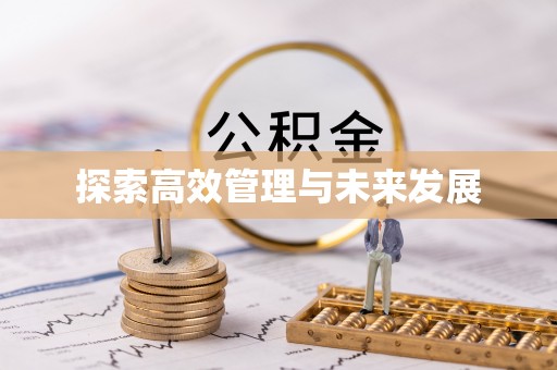 潍坊探索高效管理与未来发展