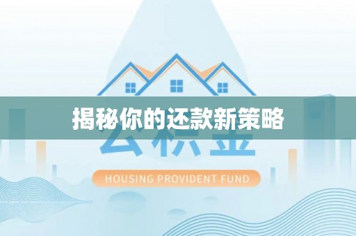 潍坊揭秘你的还款新策略