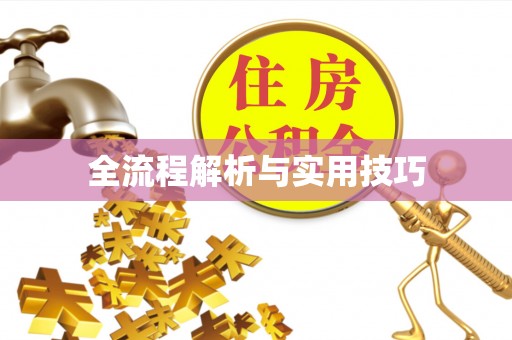 潍坊全流程解析与实用技巧