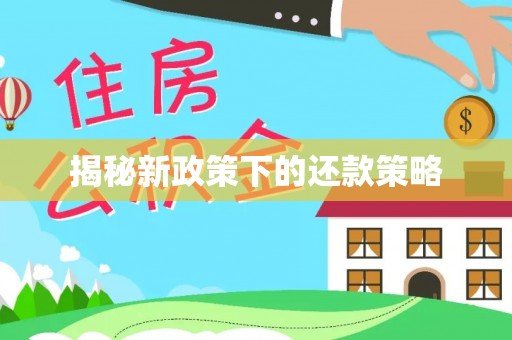 潍坊揭秘新政策下的还款策略