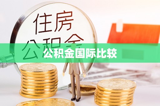 潍坊公积金国际比较