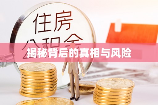 潍坊揭秘背后的真相与风险