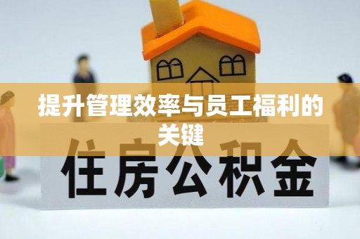 潍坊提升管理效率与员工福利的关键