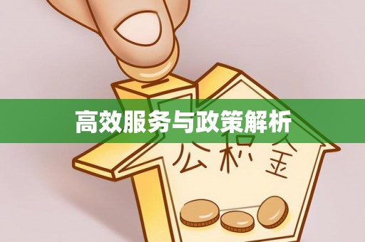 潍坊高效服务与政策解析