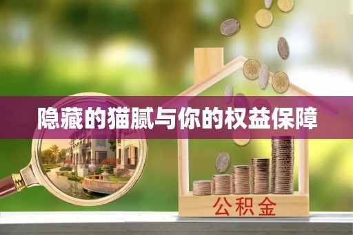 潍坊隐藏的猫腻与你的权益保障