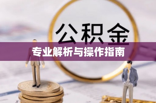 潍坊专业解析与操作指南
