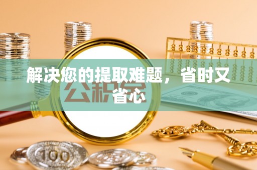 潍坊解决您的提取难题，省时又省心