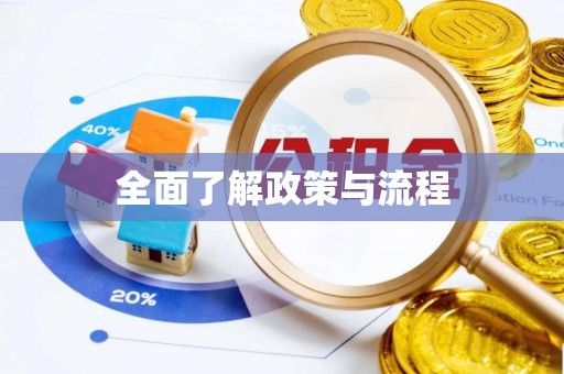 潍坊全面了解政策与流程