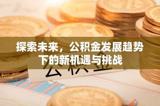 潍坊探索未来，公积金发展趋势下的新机遇与挑战