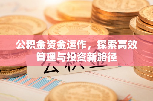 潍坊公积金资金运作，探索高效管理与投资新路径