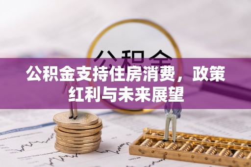 潍坊公积金支持住房消费，政策红利与未来展望