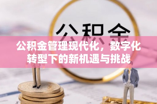 潍坊公积金管理现代化，数字化转型下的新机遇与挑战