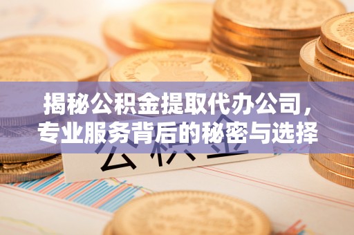 潍坊揭秘公积金提取代办公司，专业服务背后的秘密与选择指南
