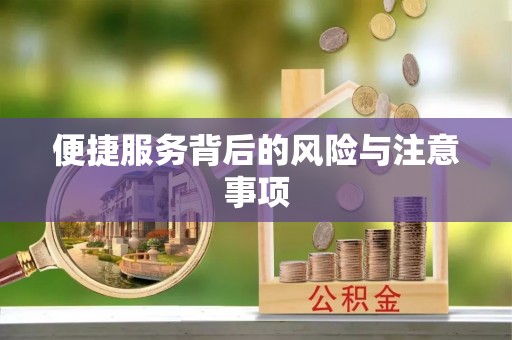 潍坊便捷服务背后的风险与注意事项