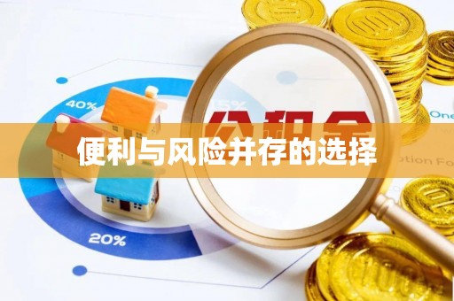 潍坊便利与风险并存的选择