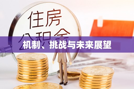 潍坊机制、挑战与未来展望
